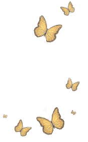 butterflies2